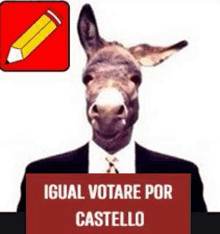 Castillo Burro Castillista GIF - Castillo Burro Castillista Peru Burro GIFs