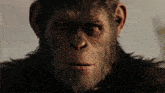 Planet Of The Apes Caesar GIF - Planet Of The Apes Caesar Sad GIFs