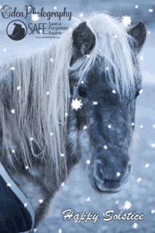 Save A Forgotten Equine Safe GIF - Save A Forgotten Equine Safe Holiday GIFs