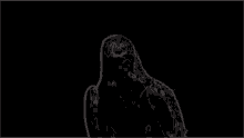 a black and white drawing of a bird flying in the dark .
