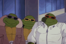 Ninja Turtles Sunglasses GIF - Ninja Turtles Sunglasses GIFs