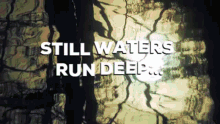 Still Waters Still Waters Run Deep GIF