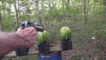 Watermelon Shooting GIF - Watermelon Shooting Shooting Watermelons GIFs