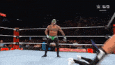 a man in a green mask is standing in a wrestling ring with a usa logo in the background