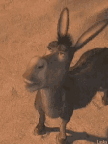 Donkey Shrek GIF