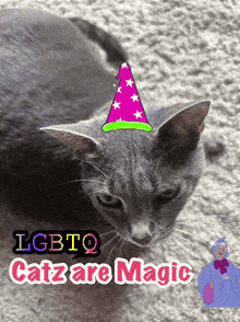 a cat wearing a wizard hat with the words lgbtq catz are magic behind it