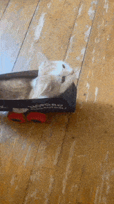 a cat is laying in a cardboard box that says " dirobo " on it
