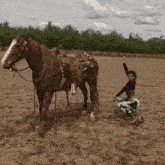 a woman kneeling next to a horse with a saddle on it