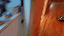Hallway Roomba GIF - Hallway Roomba GIFs