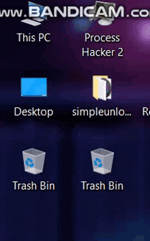 a screenshot of a computer screen showing the trash bin and the process hacker 2