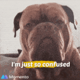 a picture of a dog with the words i 'm just so confused