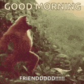 a monkey is standing in the jungle with the words `` good morning friendddd ! ''