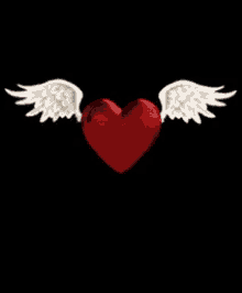 heart love angel