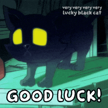 a very very very very lucky black cat with yellow eyes says good luck