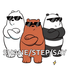 three bears wearing sunglasses with the words shane / step / say behind them