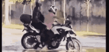 Motorcycle Drive Safe GIF - Motorcycle Drive Safe Flood GIFs