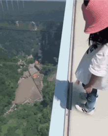 she scared me heights glass bridge