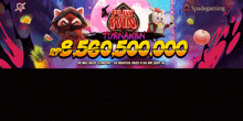 an advertisement for a play win tournament shows a raccoon and a pig