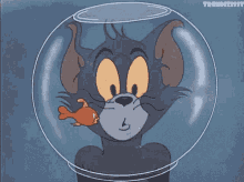 Stupid Dumb GIF - Stupid Dumb Tom And Jerry GIFs