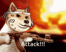 Buff Doge Doge Attack GIF - Buff Doge Buff Doge GIFs