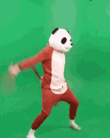 Panda Attack GIF - Panda Attack Brandon GIFs