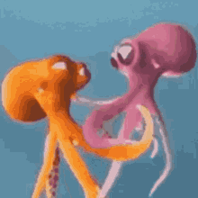 Octopus Myoctopusteacher GIF