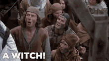 Monty Python Holy Grail And The Flying Circus John Cleese GIF - Monty Python Holy Grail And The Flying Circus John Cleese Witch GIFs