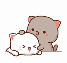 mochi mochi peach cat cat kitty cute pet head