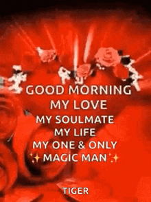 a good morning my love my soulmate my life my one and only magic man