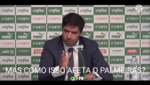 Palmeiras Abel GIF - Palmeiras Abel Dudu Prt GIFs