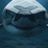 a close up of a shark with an x drawn on its face