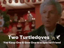 Turtle Turtledove GIF - Turtle Turtledove Home GIFs
