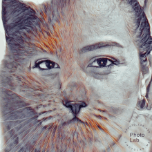 Cat Coloring GIF