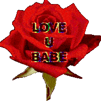 Babe Love U Sticker - Babe Love U Love You Babe Stickers