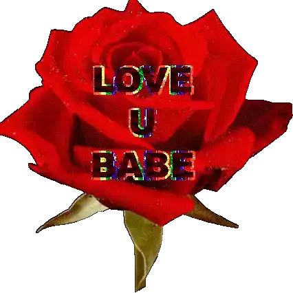 Babe Love U Sticker - Babe Love U Love You Babe Stickers