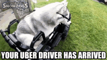 Uber Uber Driver GIF - Uber Uber Driver Pick Me Up GIFs