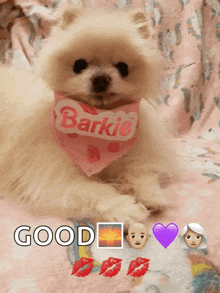 Barkie Snarl Impressed Not Dog Pomeranian Cute Puppy GIF