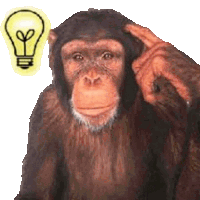 Monkey Meme Monkey Meme Sticker Sticker - Monkey Meme Monkey Meme Sticker Monkey Idea Meme Stickers