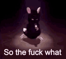 So The Fuck What Rat GIF - So The Fuck What Rat Dance GIFs