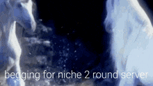 two unicorns are standing next to each other with the words begging for niche 2 round server below them