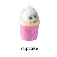 a cupcake with a seal on top of it in a pink polka dot wrapper .