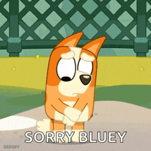 a cartoon dog is standing on the ground with his arms crossed and the words `` sorry bluey '' written on the bottom .