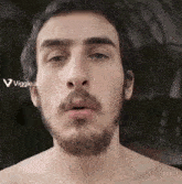 a shirtless man with a beard and mustache looks at the camera with a viggle.ai logo in the corner