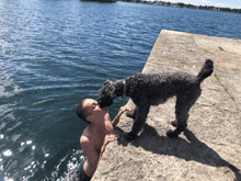 Kissing Dog In Water GIF