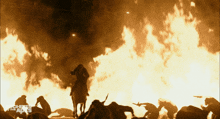 a man on a horse stands in front of a large fire with the words chasers of the apes written on the bottom