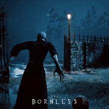 a poster for the bornless shows a man holding a torch in a dark forest