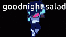 a pixel art drawing of a person with the words goodnight salad below it .