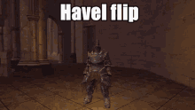 Havel Flip GIF