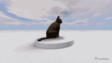 Catspin GIF - Catspin GIFs