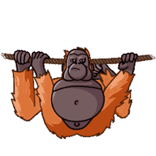 orangutan telegram